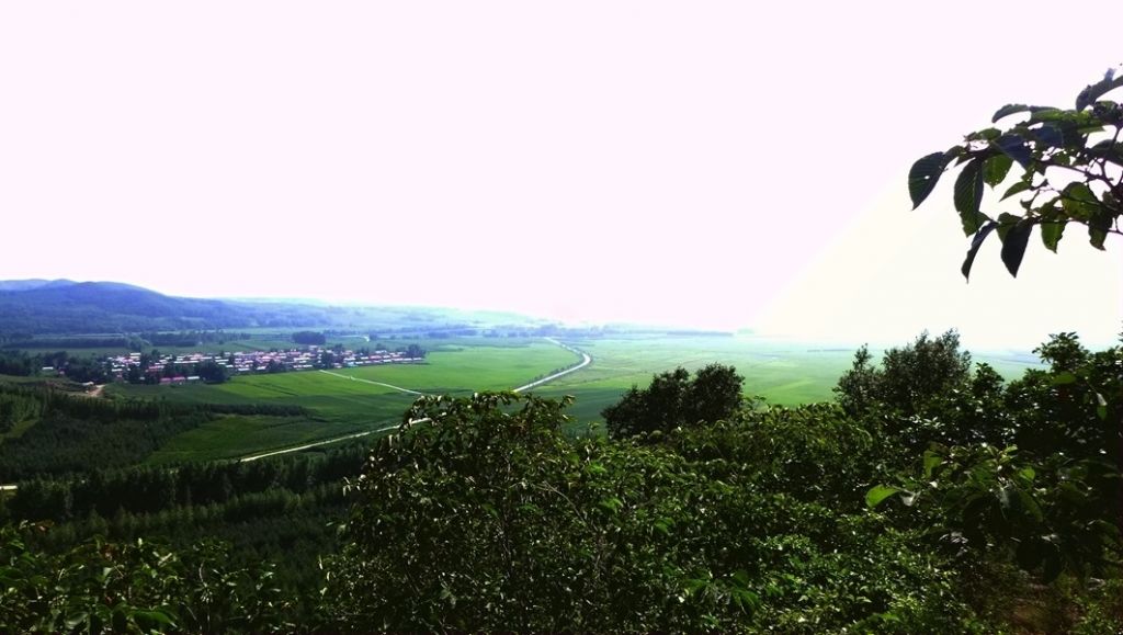 P1010246.JPG