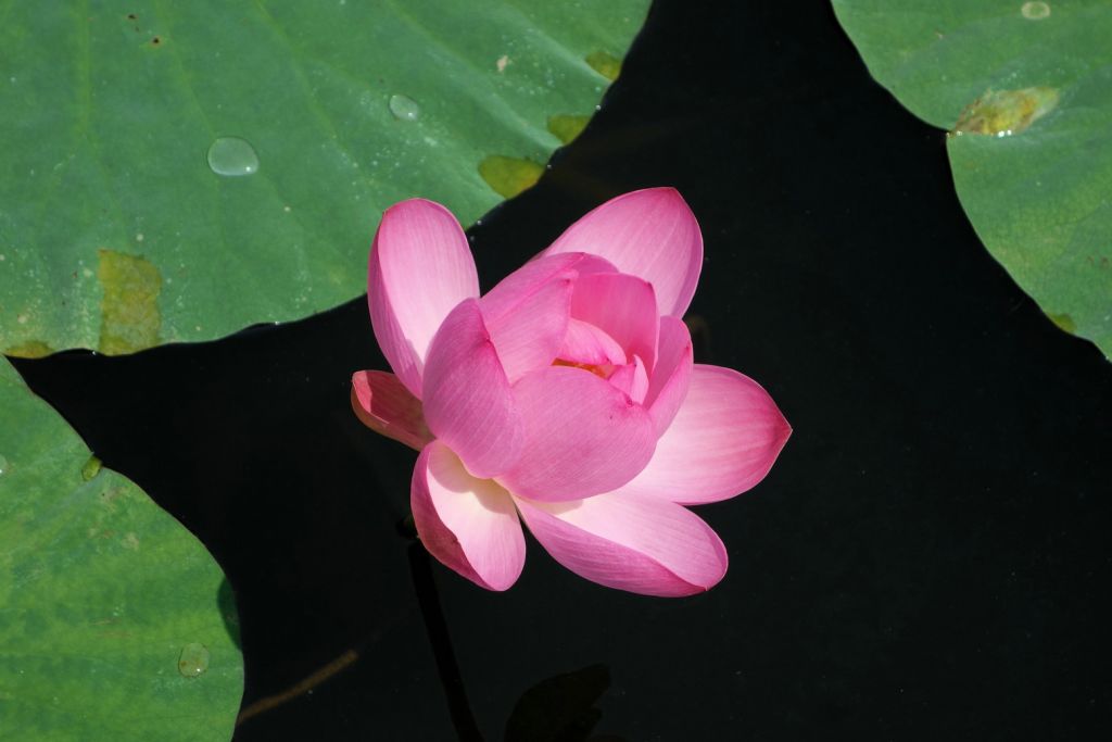 DSC01546.JPG