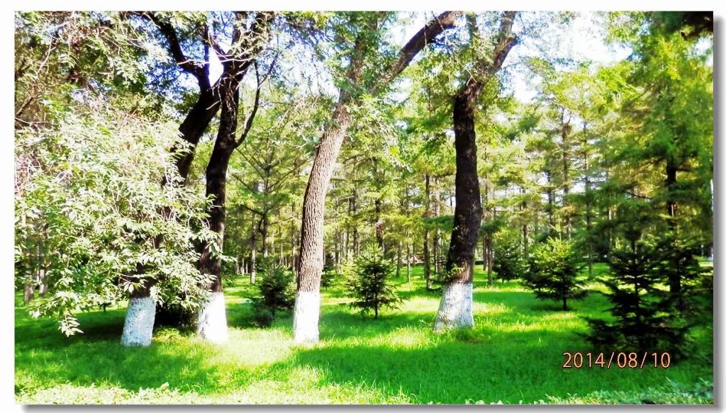 P8100829.jpg