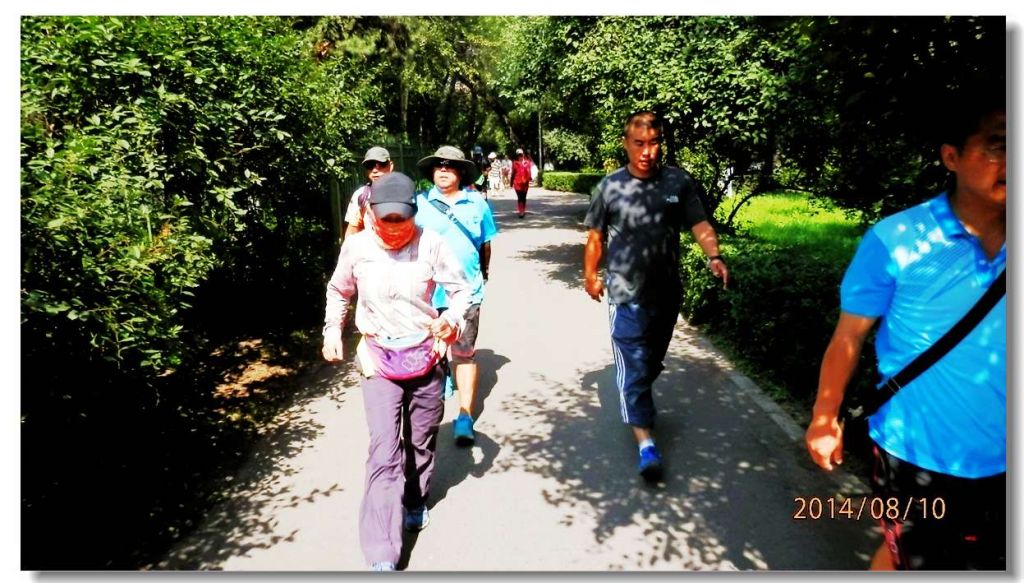 P8100852.jpg