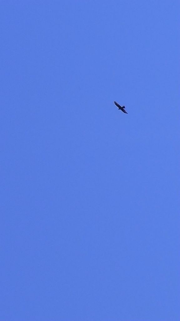 P1010317.JPG