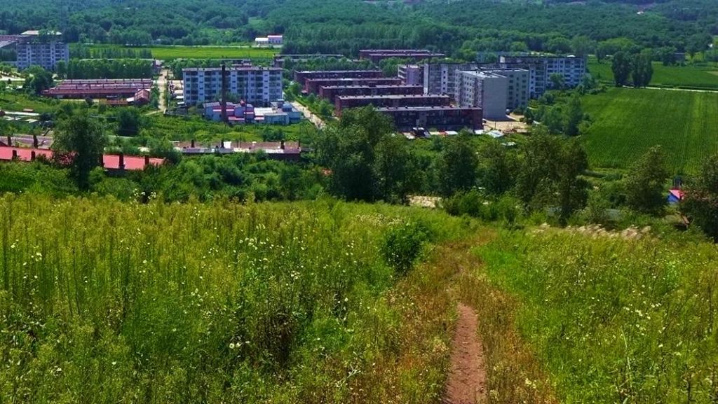 P1010322.JPG