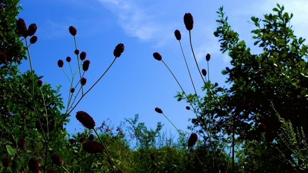 P1010315.JPG