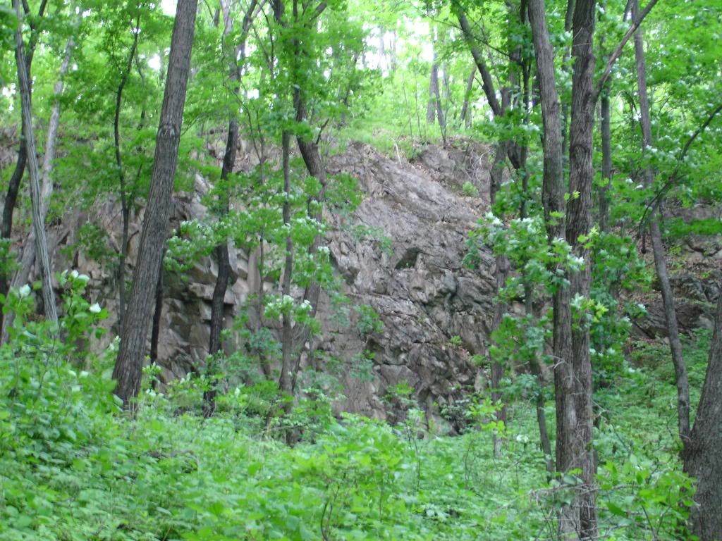 DsfsdfSC01782.jpg