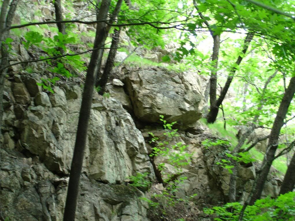 DSC01dxfcvgsdf785.jpg