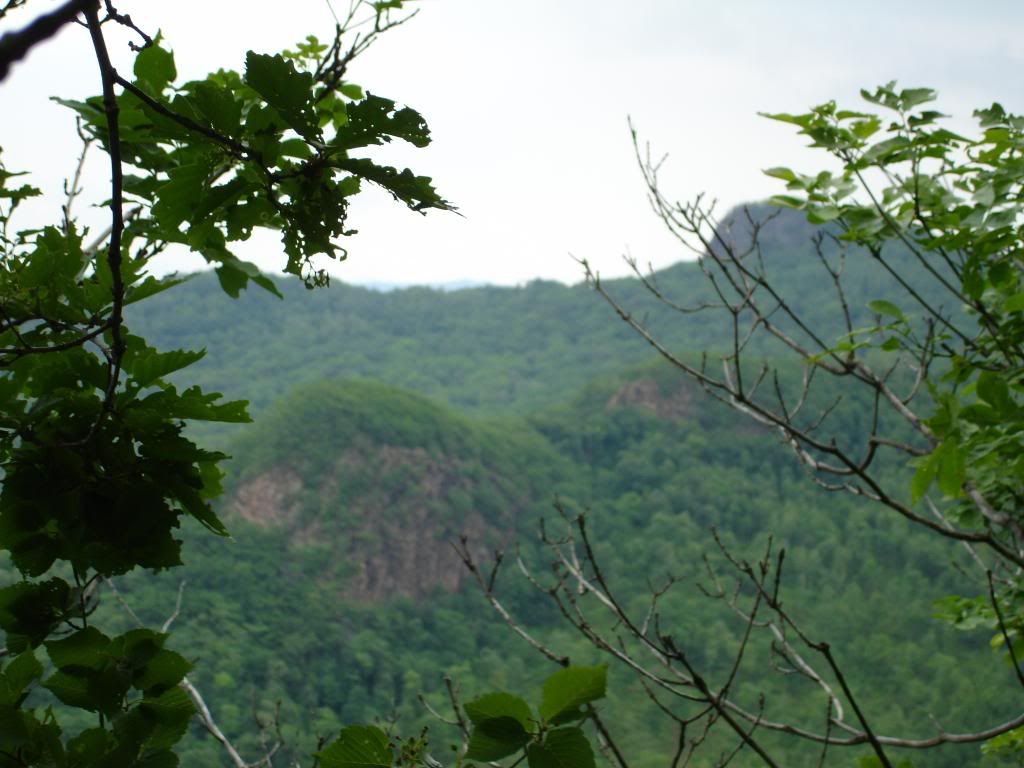 DSsfsfC01768.jpg