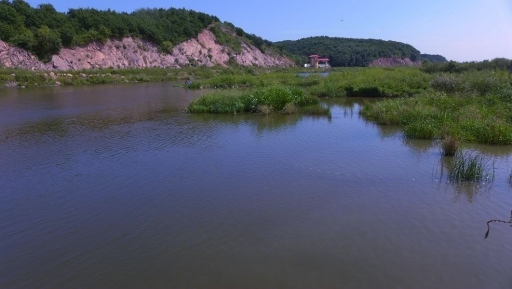 P1010434.JPG