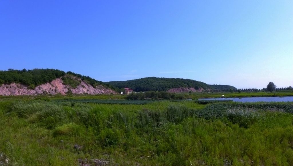 P1010426.JPG