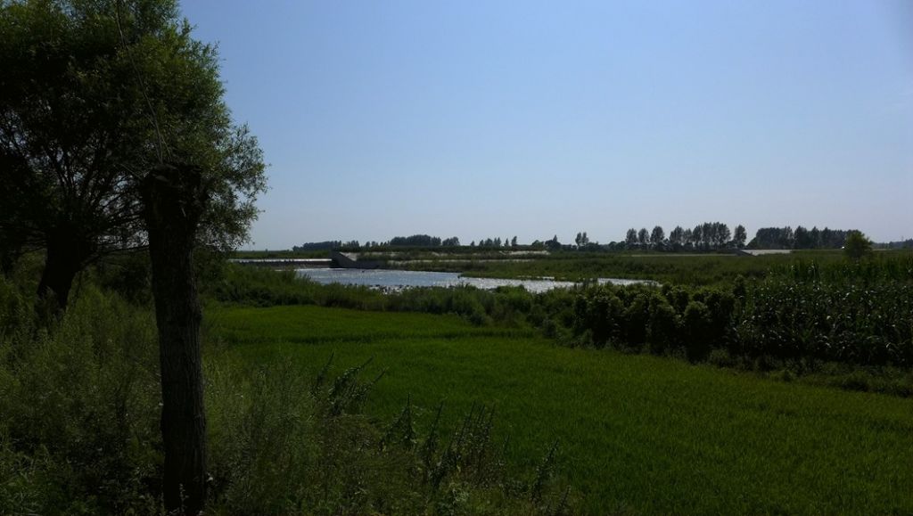 P1010456.JPG
