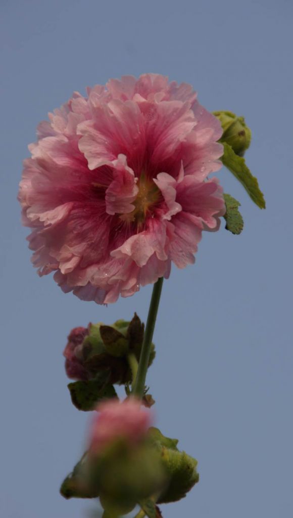 DSC01128.JPG
