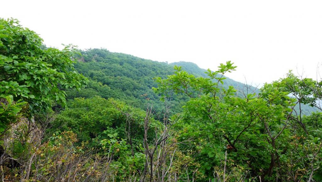 P1010494.JPG