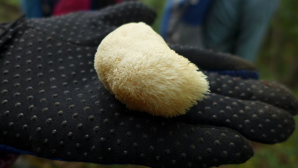 P1010534.JPG