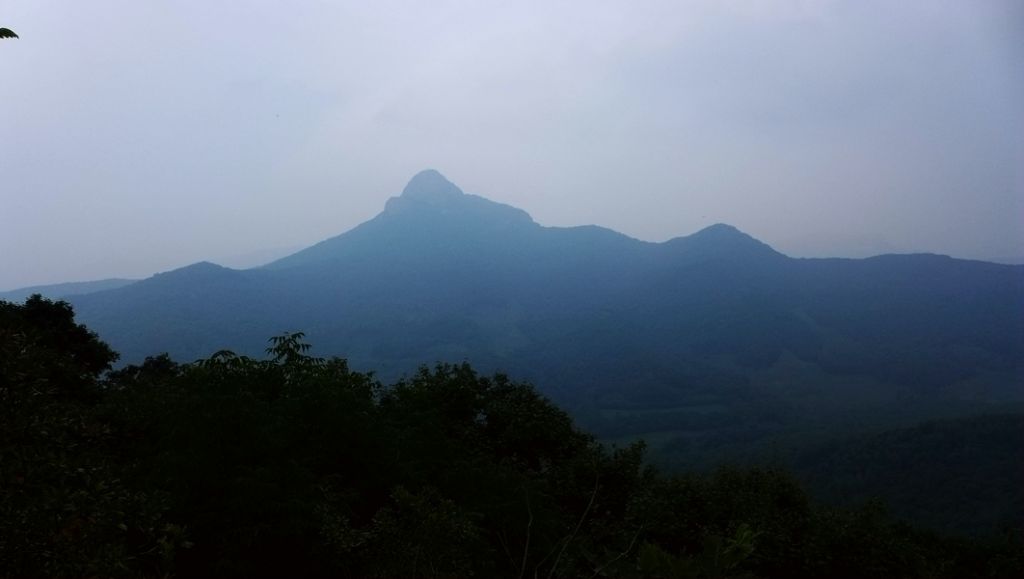 P1010559.JPG