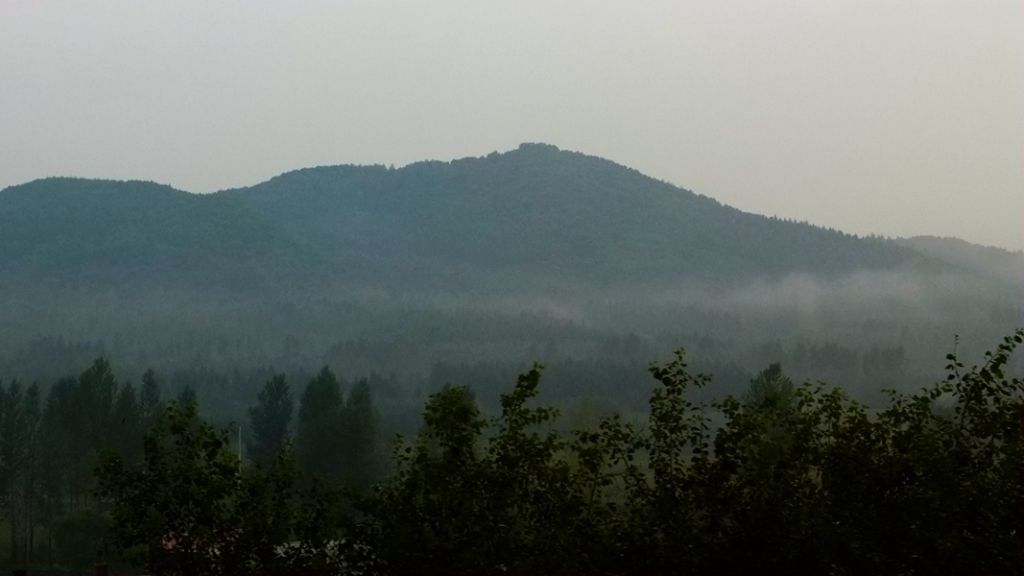 P1010600.JPG