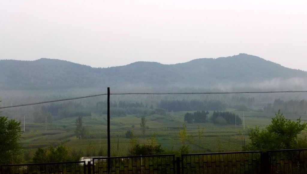 P1010601.JPG