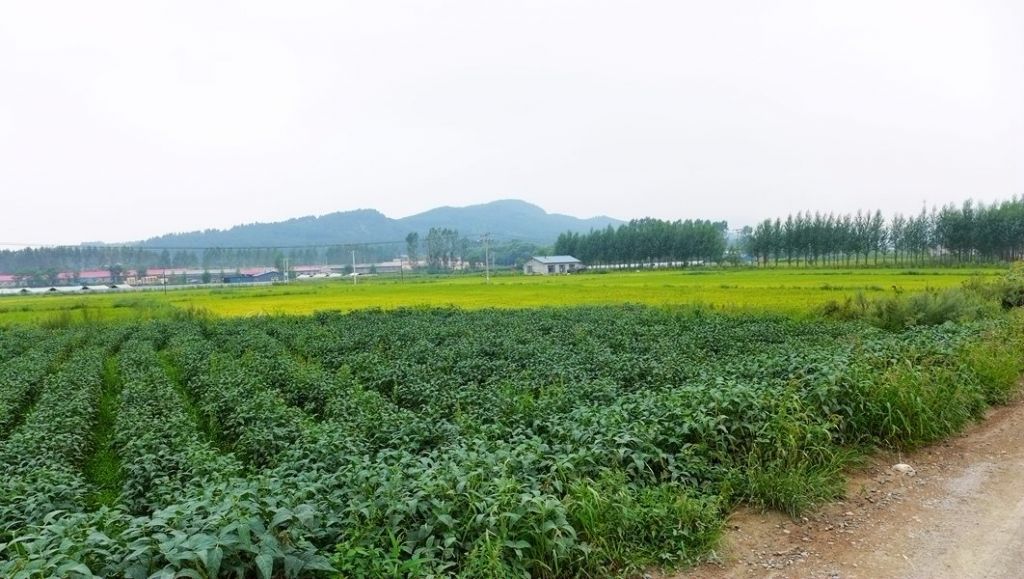 P1010594.JPG