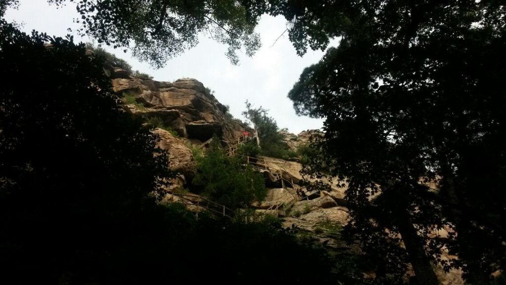 psb (5)[1].jpg.thumb.jpg