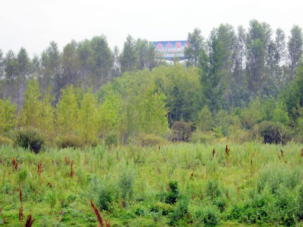 P1050870.jpg