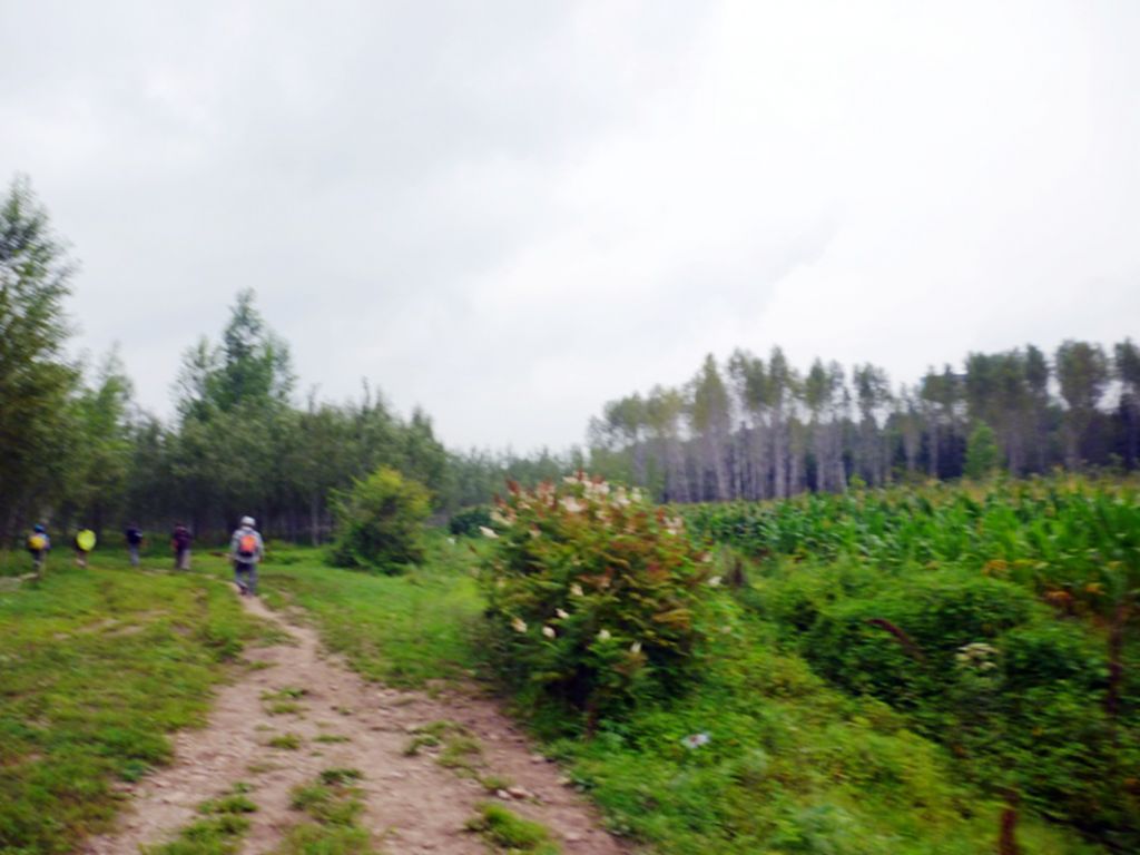 P1050871.jpg