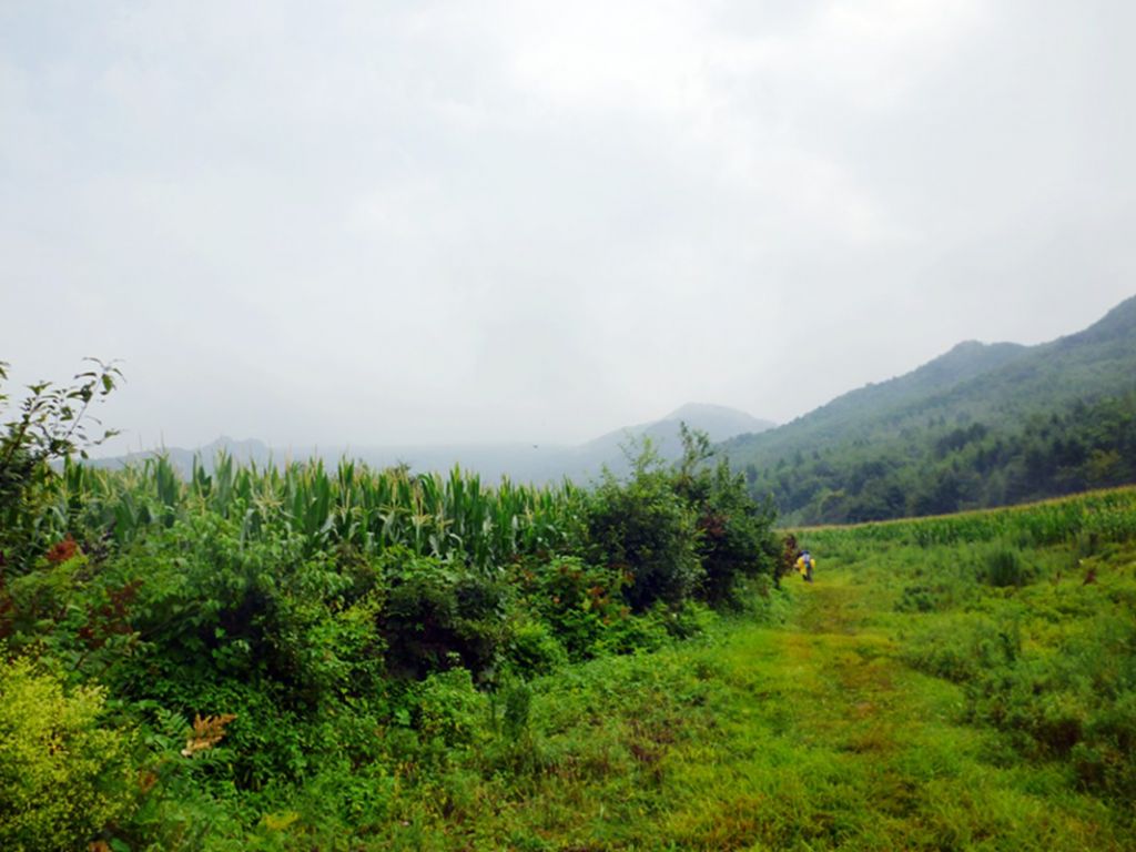 P1050886.jpg