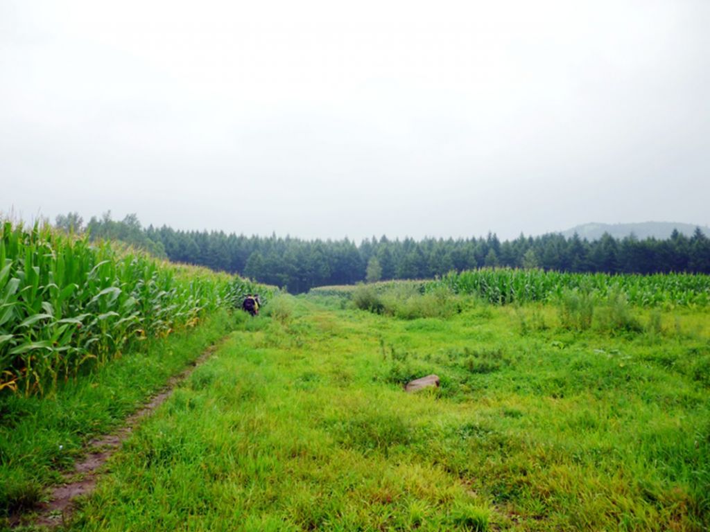 P1050890.jpg