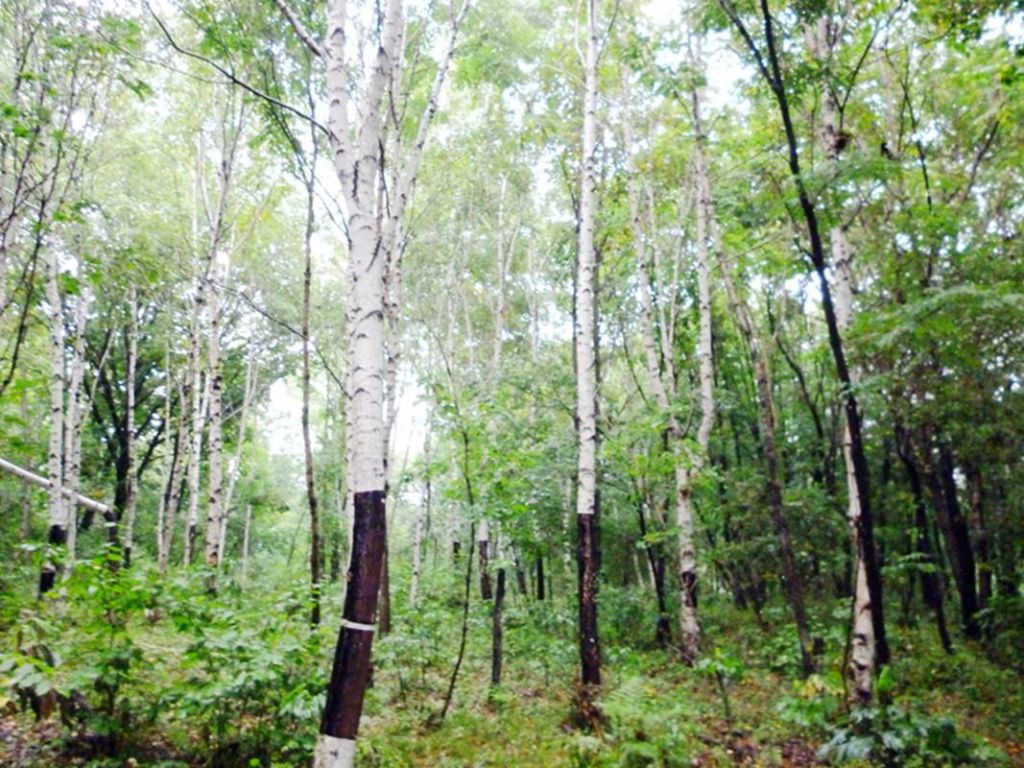 P1050916.jpg