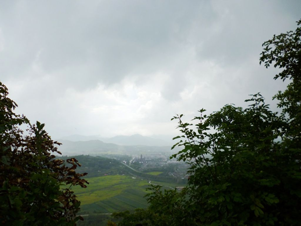 P1050907.jpg