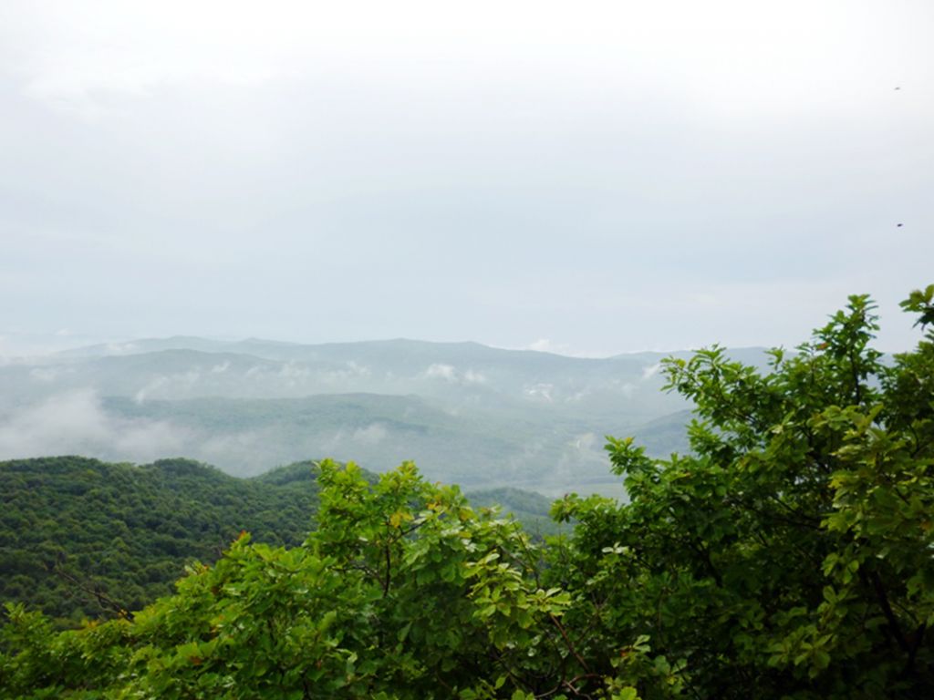 P1050930.jpg