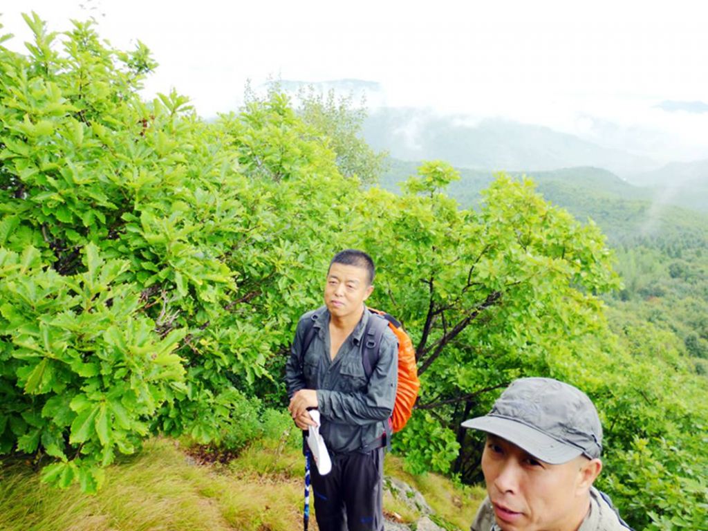 P1050936.jpg