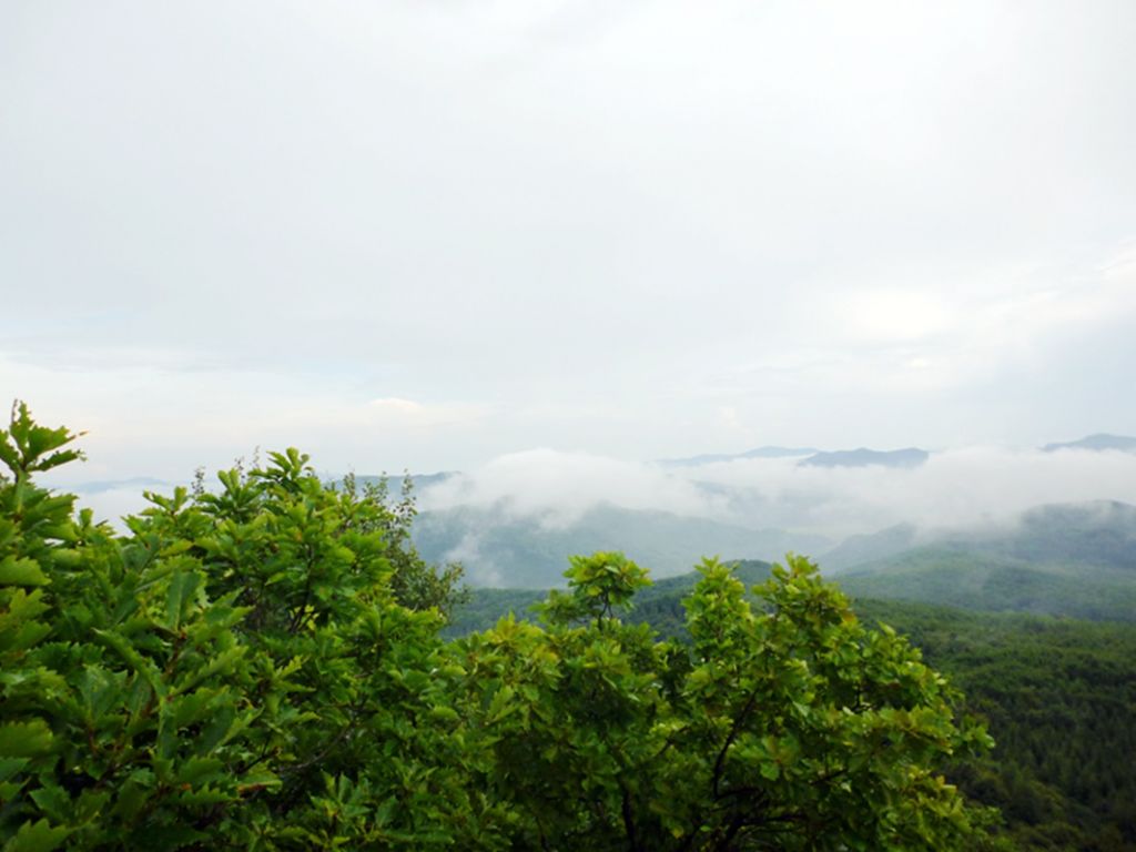 P1050931.jpg