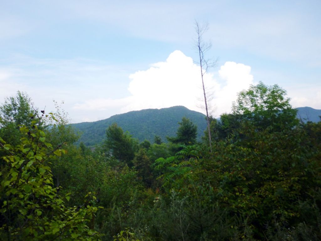 P1050966.jpg