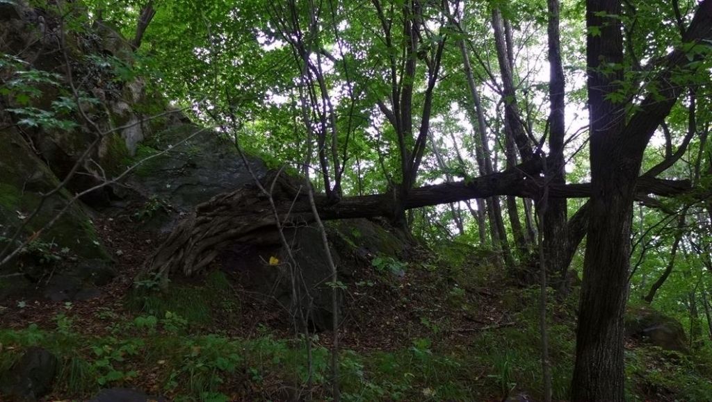 P1010644.JPG