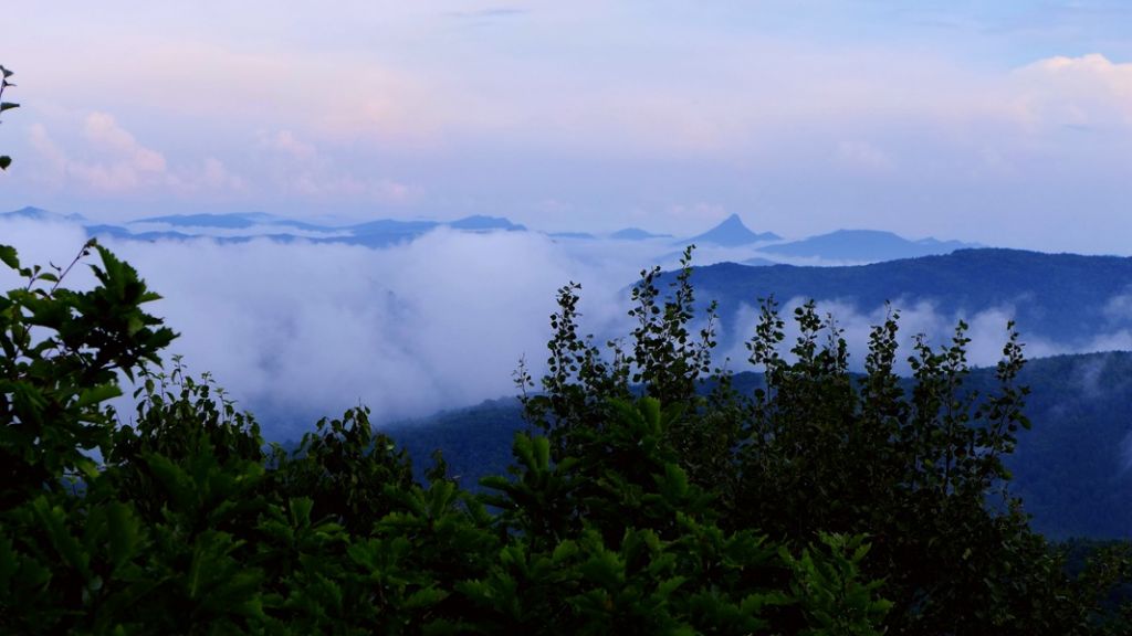 P1010657.JPG