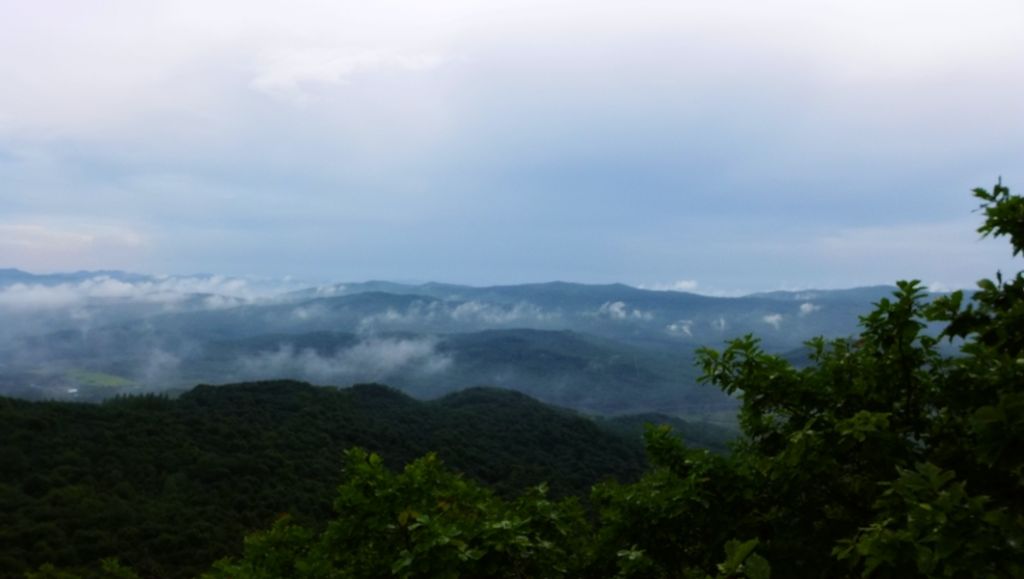 P1010671.JPG