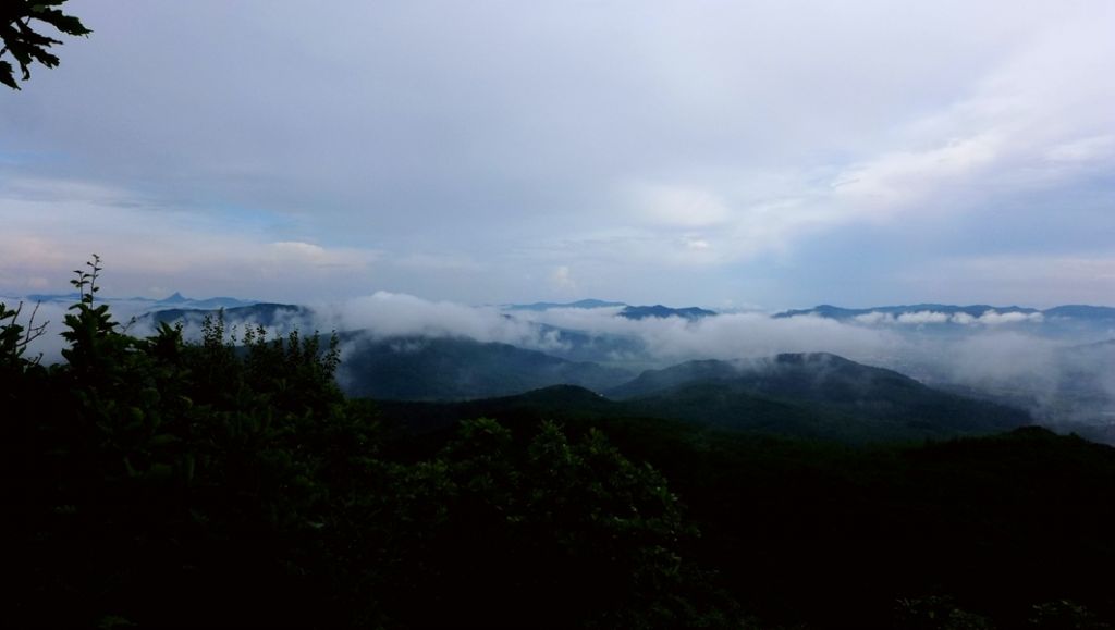 P1010675.JPG