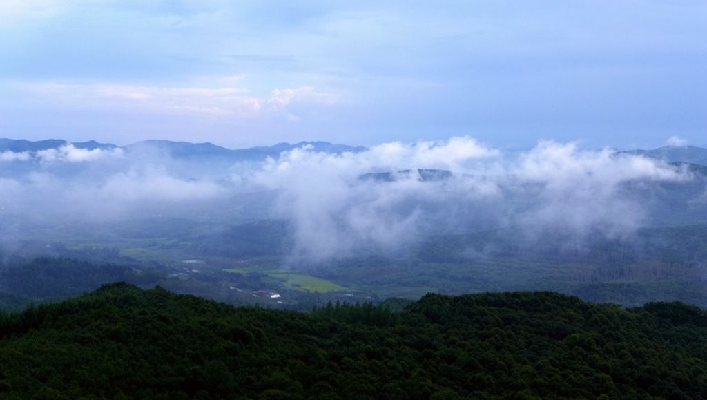 P1010697.JPG
