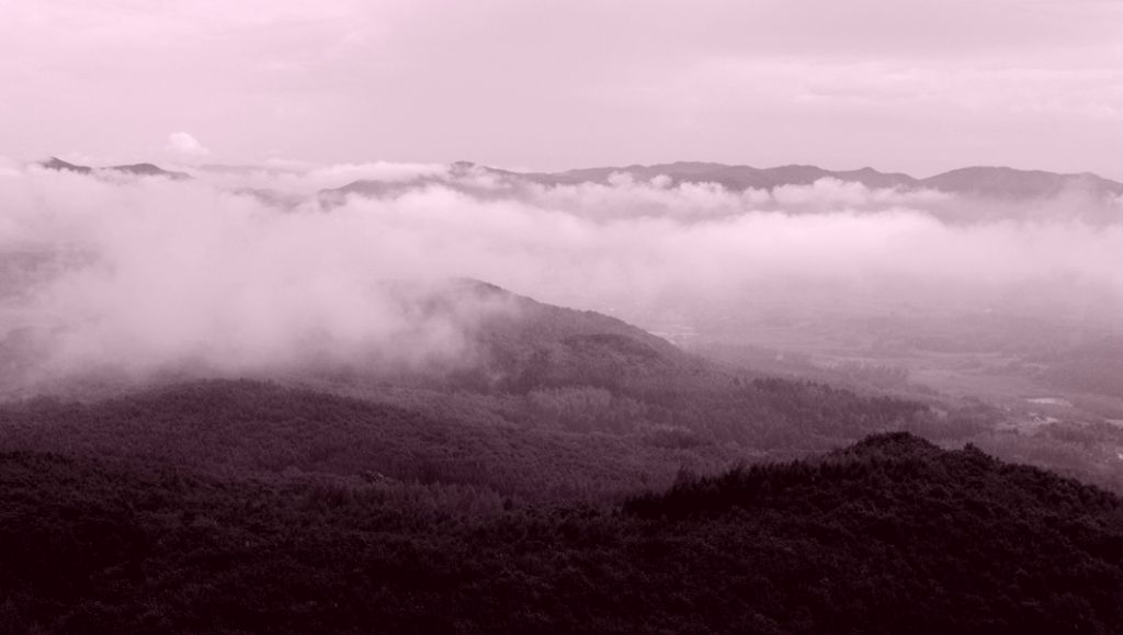 P1010721.JPG