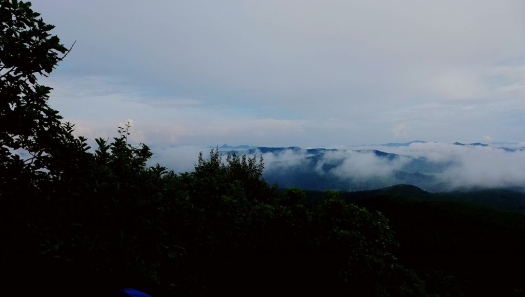 P1010719.JPG
