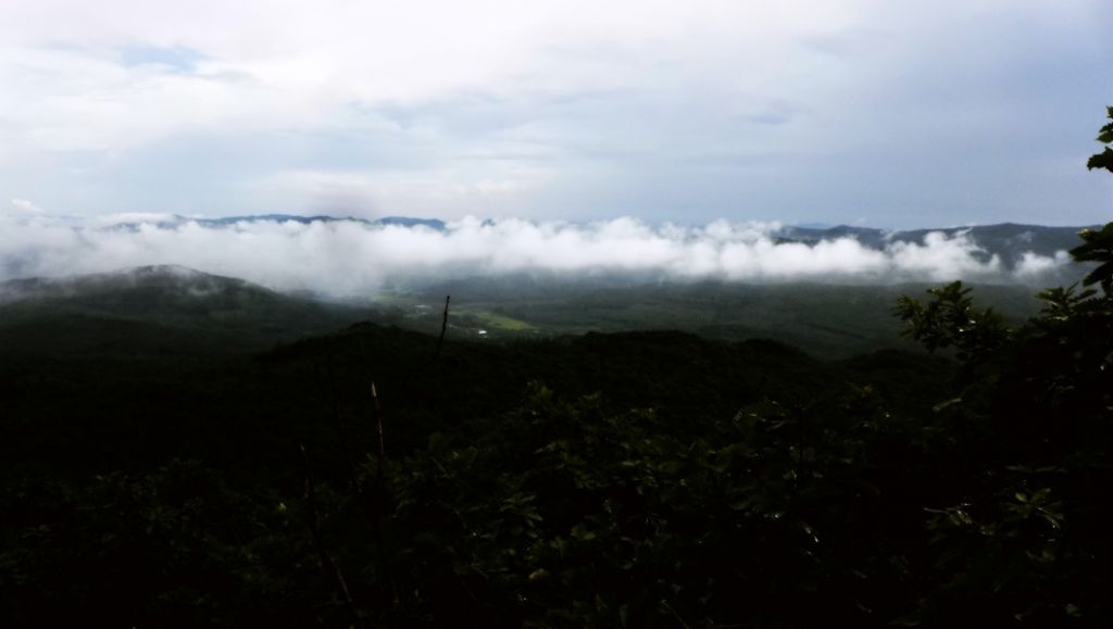 P1010729.JPG