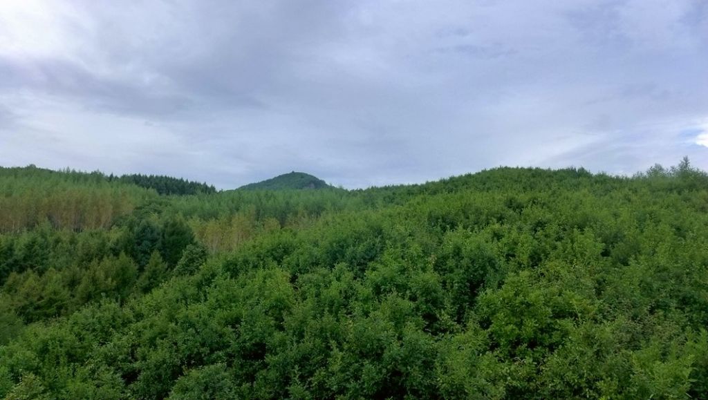 P1010743.JPG