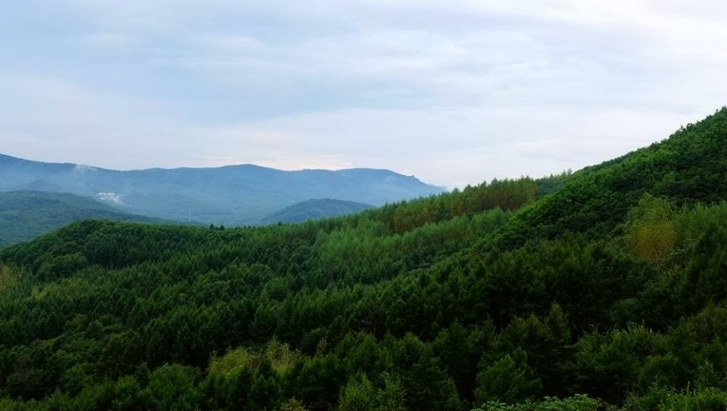 P1010744.JPG
