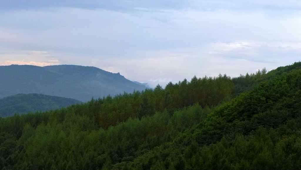 P1010747.JPG