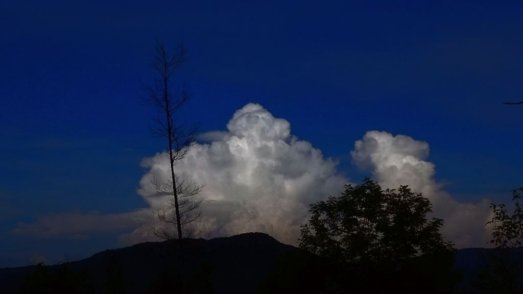 P1010765.JPG