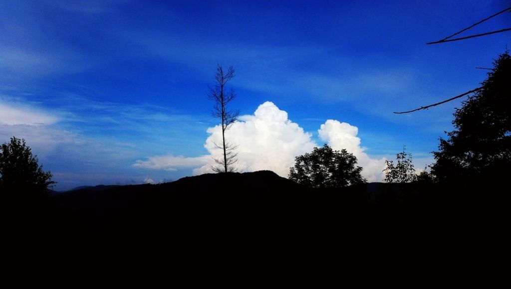 P1010764.JPG