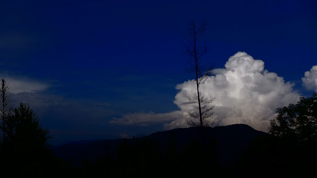 P1010766.JPG