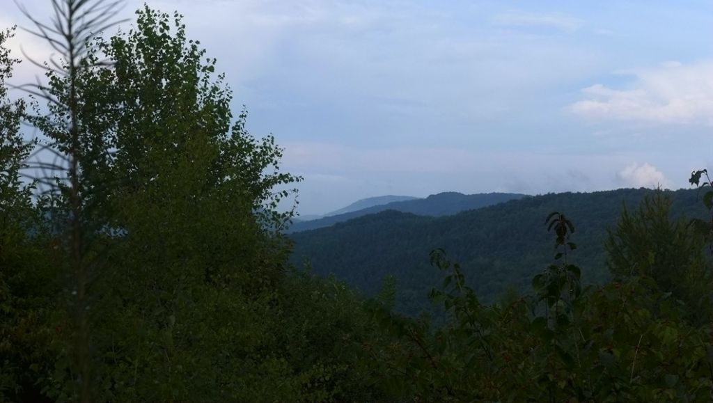 P1010767.JPG