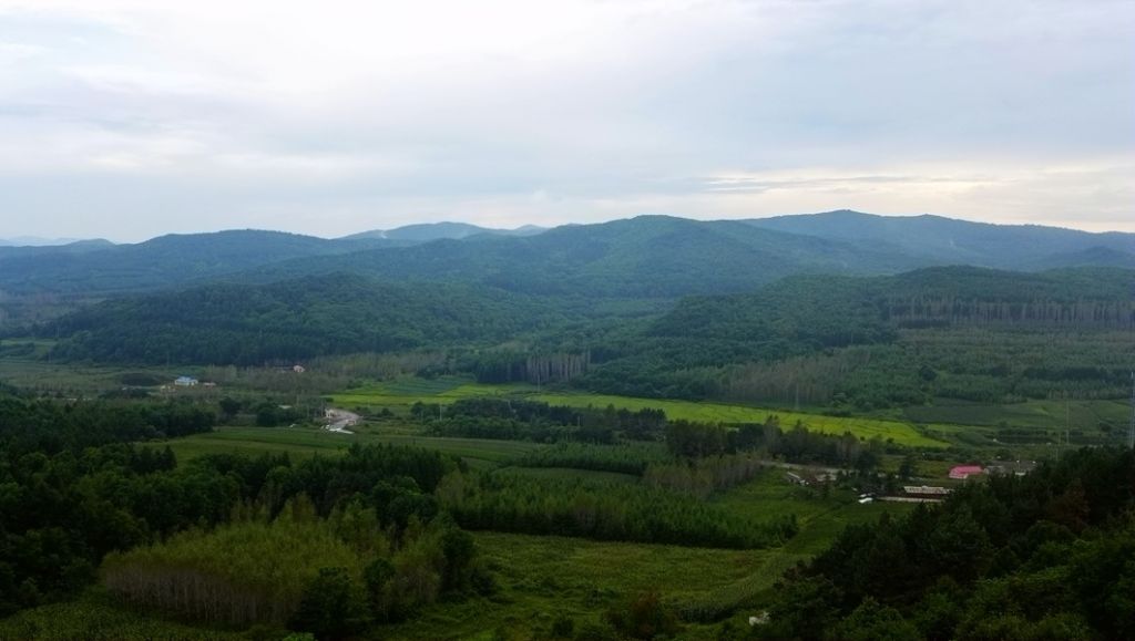 P1010760.JPG