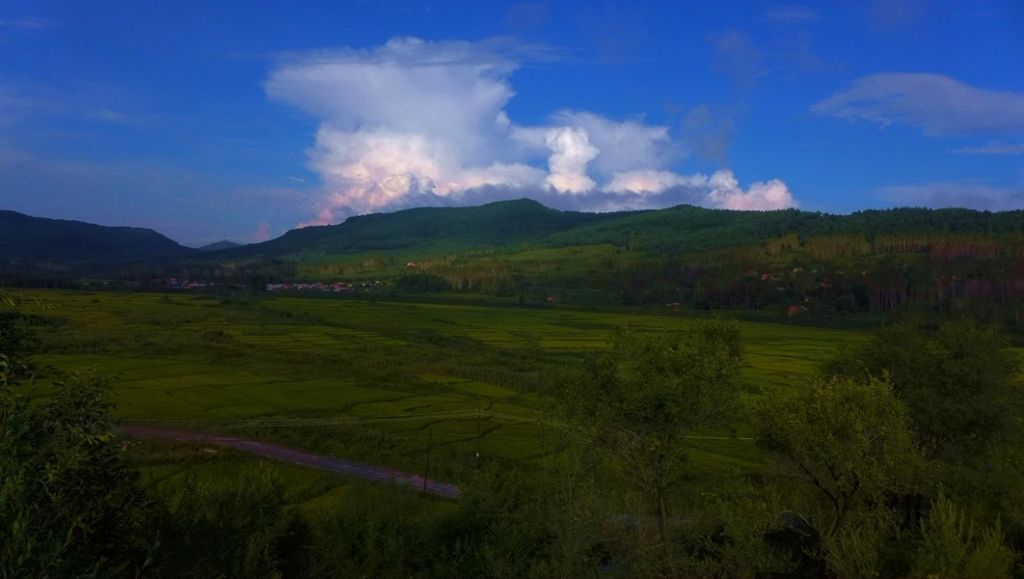 P1010786.JPG