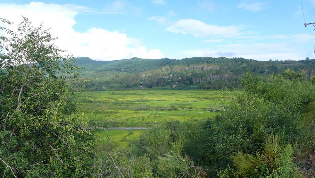 P1010782.JPG