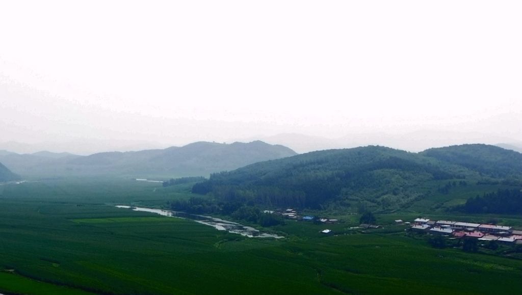 P1000921.JPG